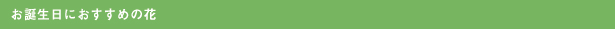 お誕生日のお花